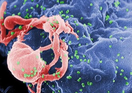 تاثیر محافظت‌ داروهای HIV در برابر عفونت کووید ۱۹