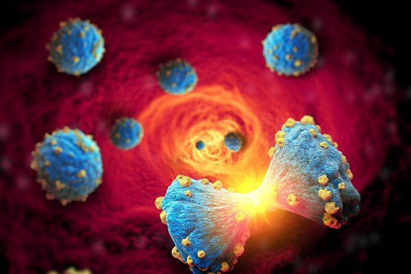 درمان و تولید واکسن سرطان به کمک سلول های بنیادی پرتوان