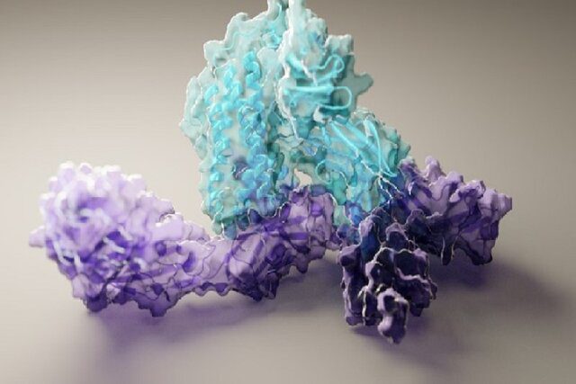 طراحی پروتئینی که ژن‌ های خفته را بیدار می‌کند!