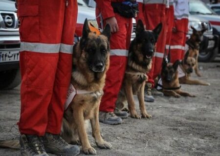 نجات ۲۴۷ نفر در حوادث ۷۲ ساعت گذشته در کشور