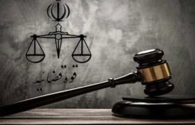 چرا پیگیری قضایی ماجرای هالک ایرانی لازم است؟