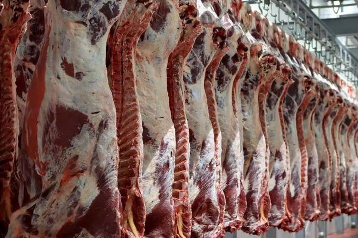 تولید گوشت قرمز در مهر ۲ درصد کاهش یافت