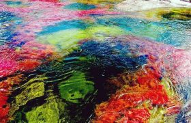 رودخانه رنگین کمانی کلمبیا