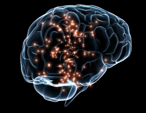 سطح سروتونین مغز در شروع آلزایمر نقش دارد