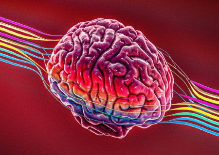 ساخت الکترودی برای رصد مستمر سطح دوپامین در مغز