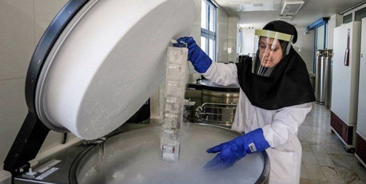 سهم ۲۱ درصدی زنان از ثبت اختراعات بین‌المللی ایران