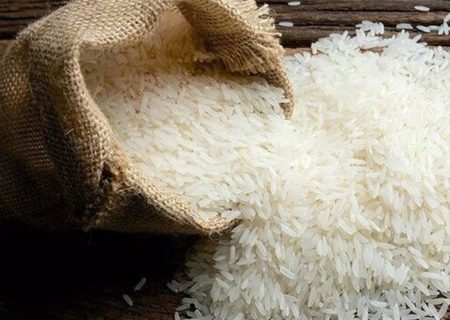 افزایش خودکفایی برنج به ۷۰ درصد با ورود ارقام جدید