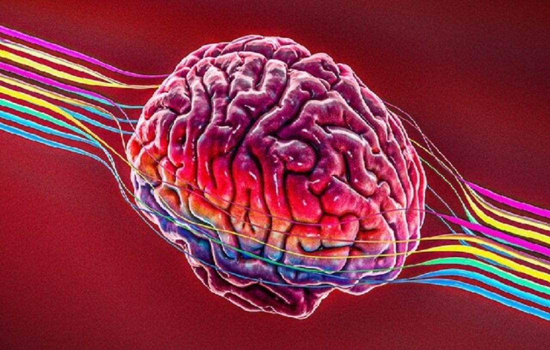 «عشق» مغز را از آلزایمر نجات می‌دهد