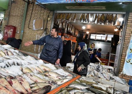 جای خالی آبزیان در سبد غذایی مردم/ از تولیدکنندگان ماهی حمایت شود