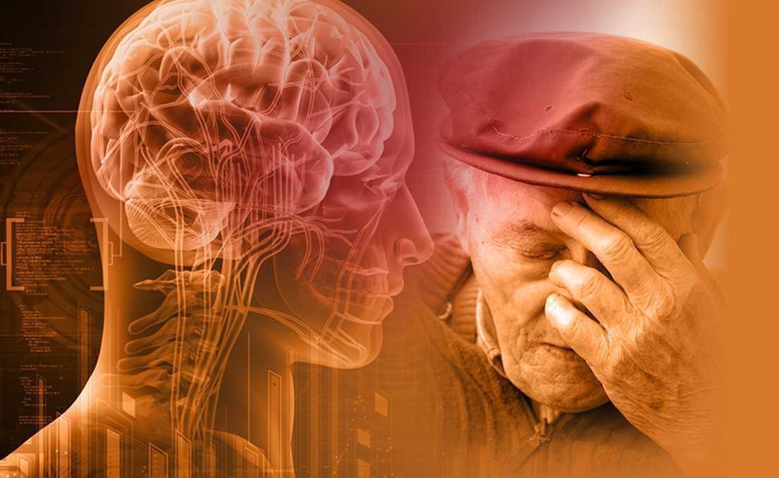 مصرف مکمل فیبر ممکن است عملکرد مغز افراد مسن را در ۱۲ هفته بهبود ببخشد