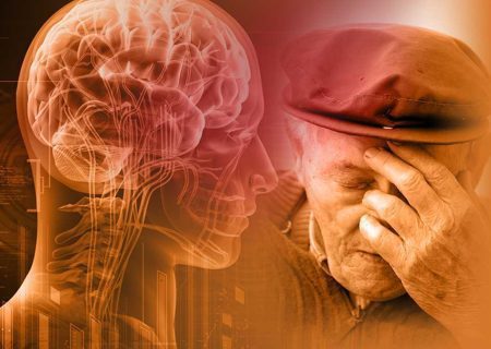 مصرف مکمل فیبر ممکن است عملکرد مغز افراد مسن را در ۱۲ هفته بهبود ببخشد