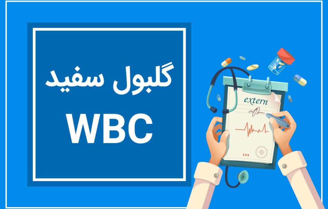 آزمایش WBC؛ راهنمای خواندن برگه آزمایش و تفسیر