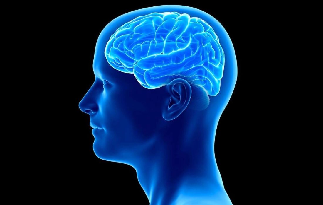 معرفی یک ماده معدنی مفید برای کاهش خطر سکته مغزی