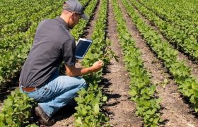 گام مردم در کشاورزی هوشمند/ راه میان‌بر مردمی‌سازی فناوری باز شد