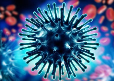 آنفولانزای خوکی (H1N1)؛ علل، علائم و راه‌های پیشگیری و درمان