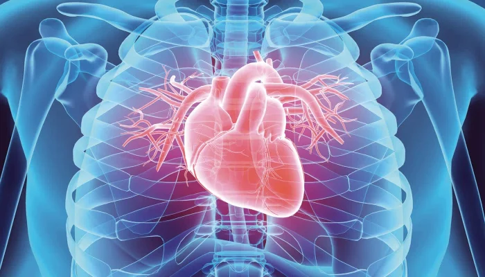 About 90% of U.S. Adults Are On the Way to Heart Disease