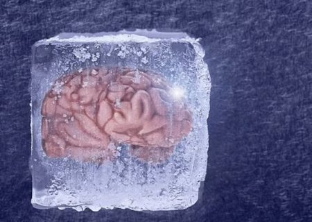 محققان چینی مغز را پس از انجماد زنده کردند
