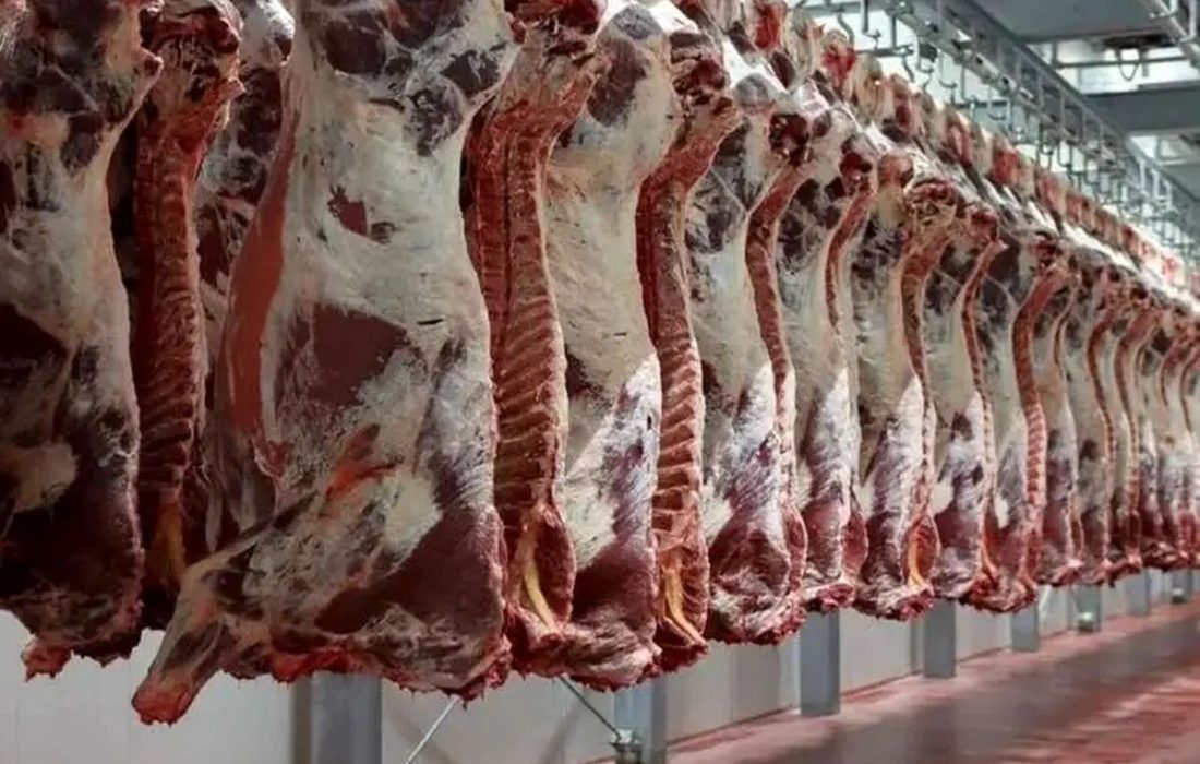 جدیدترین قیمت گوشت در بازار/ قیمت‌ها کاهشی می‌شود؟