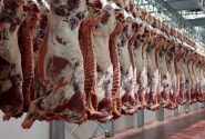 جدیدترین قیمت گوشت در بازار/ قیمت‌ها کاهشی می‌شود؟