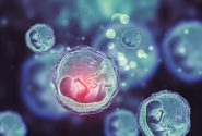 سلول‌های بنیادی جنینی چیست و چه مزایایی دارند؟