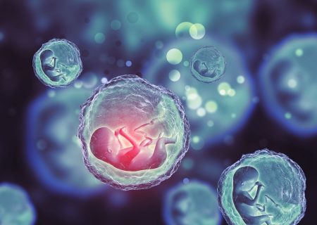 سلول‌های بنیادی جنینی چیست و چه مزایایی دارند؟
