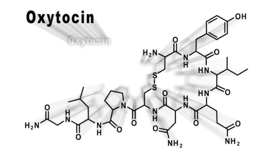 هورمون اکسی توسین؛ درمان آلزایمر