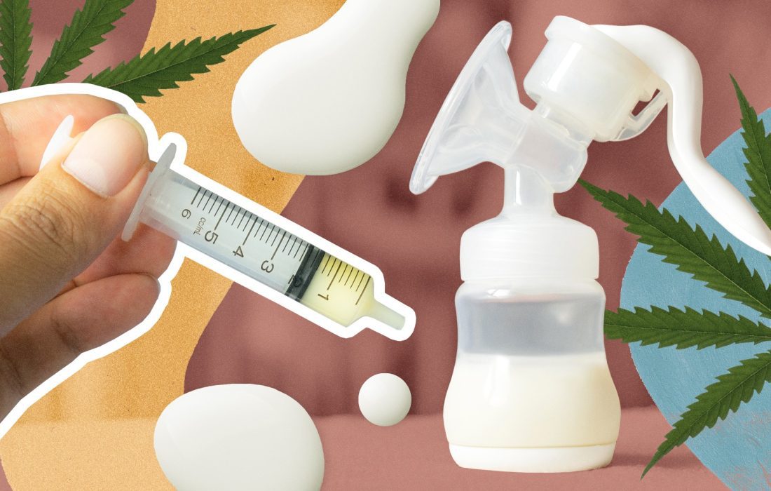 How Long Does Marijuana THC Linger in Breast Milk?