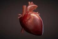 باورهای غلط در مورد پیشگیری از بیماری‌های قلبی