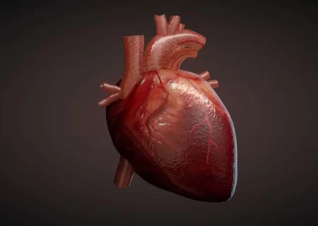 باورهای غلط در مورد پیشگیری از بیماری‌های قلبی
