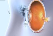 نوار عصب چشم چیست؟