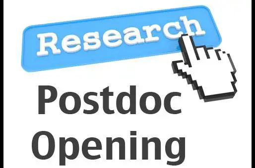 نکاتی جالب برای فوق دکتری