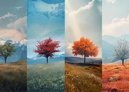 آموزش استفاده درست از day، month و season در مکالمه و جمله‌سازی انگلیسی